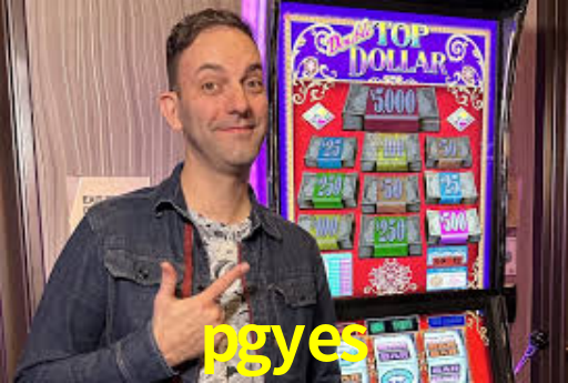 Interface Premium pgyes